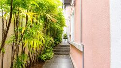 Pinewood Terrace (D25), Terrace #589906061